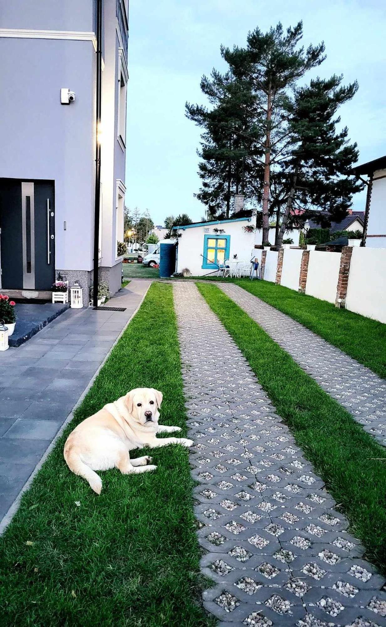 Villa Blue Mare Устроне Морске Екстериор снимка